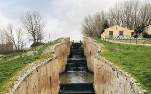 La CHD ya paralizó la poda de árboles en el Canal de Castilla el pasado 1 de marzo